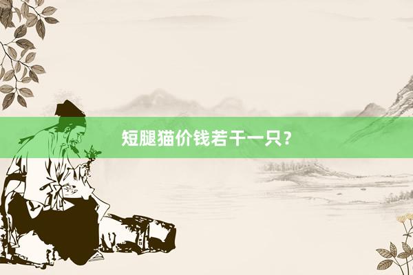 短腿猫价钱若干一只？